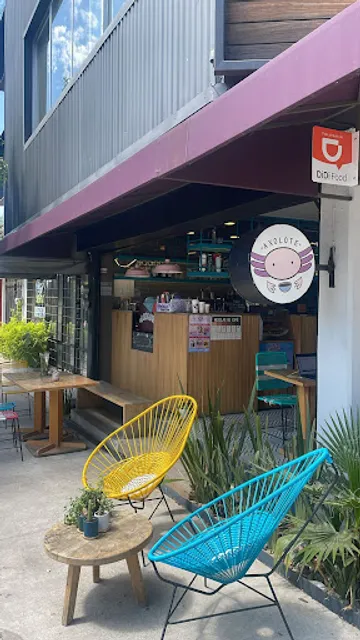 Café Axolote Arbide