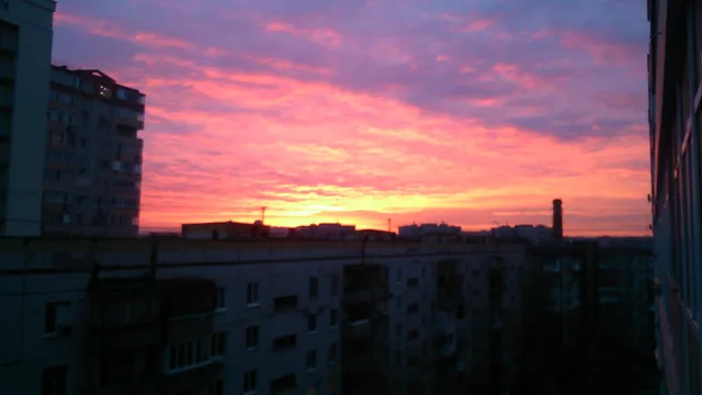 hostel "The red cat"