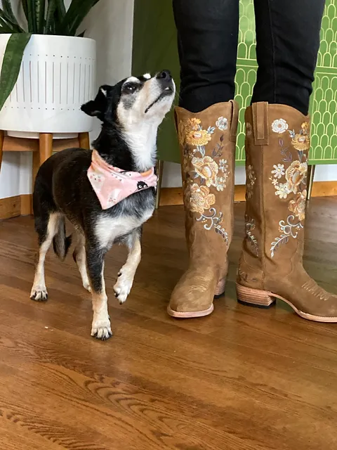 The Barn Door Boutique & Decor