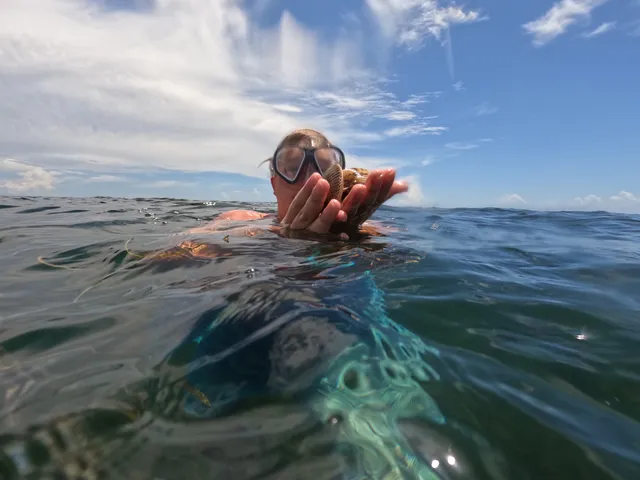 Crystal River Island Tours