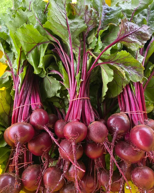 Black Hawk Farmers Marketing Association Inc.