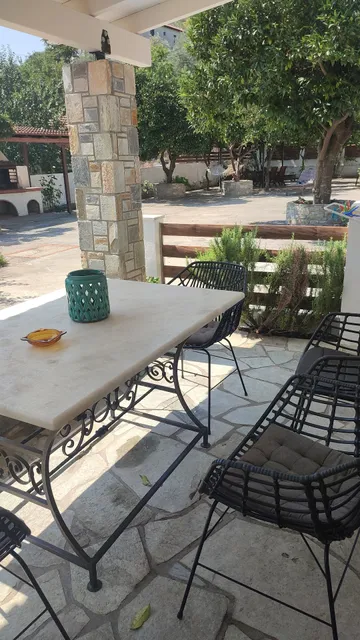 Lemontree And Olive Garden House