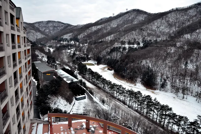 양지파인리조트