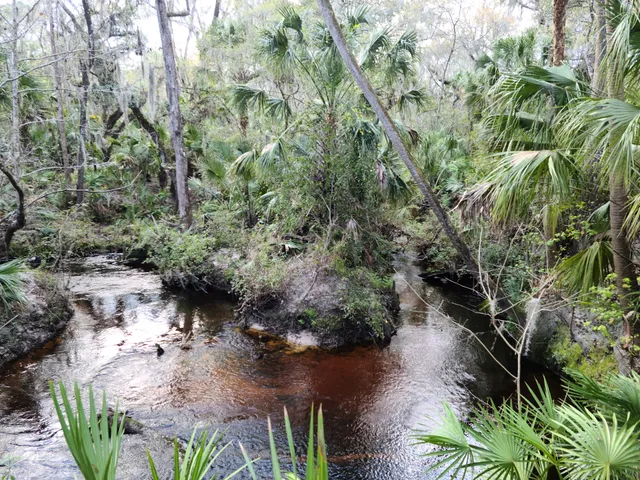 Myron and Helen Gibbons Nature Preserve