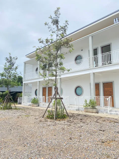 แมงปอ รีสอร์ท ทุ่งตะโก 550 ฟรีอาหารเช้า