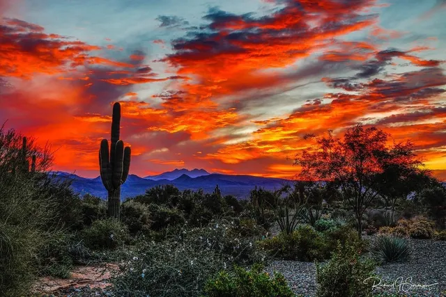 HouzAZ & Associates - Realty One Group