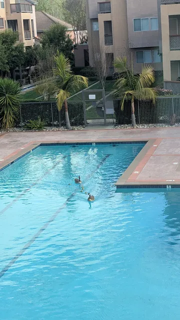 Alta Mar Maintenance Association