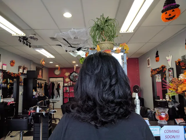 Bella Hair Studio