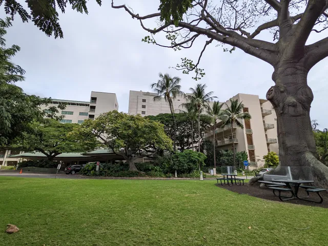 The Queen's Medical Center oncology