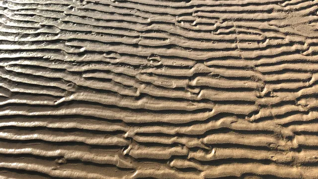 Apartamentos Vistamar