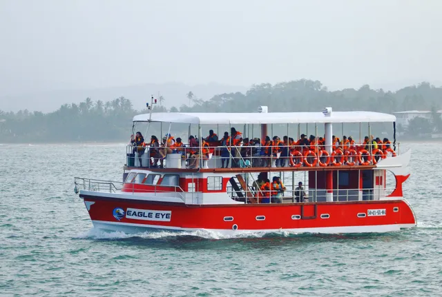 Eagle Eye Whale Watching