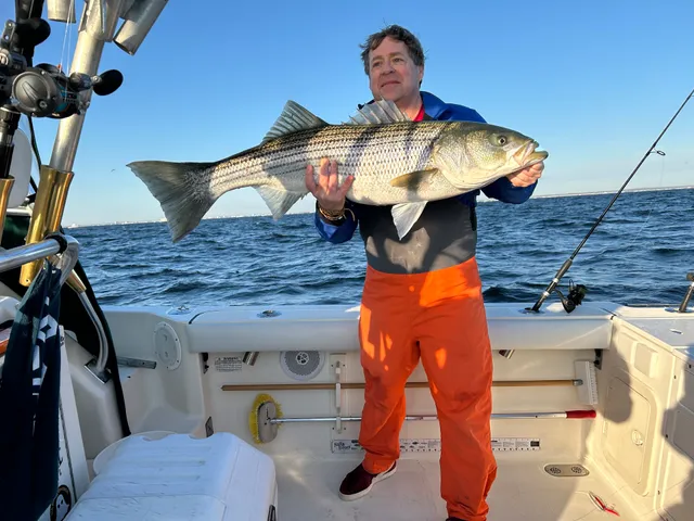 Chasin' Tail Sportfishing