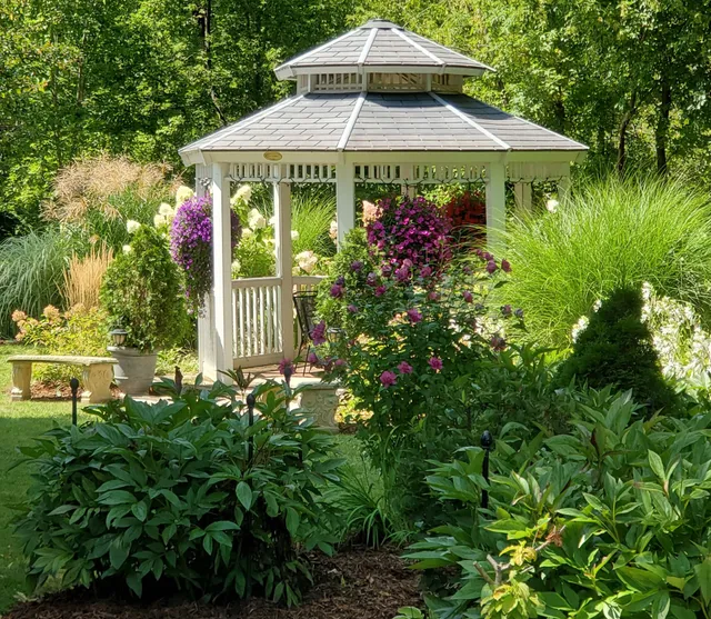 Lilly Pad (Boerners' Guest House)