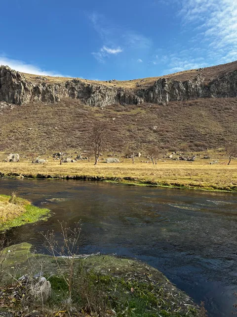 BJNI, Naturally carbonated water fountain