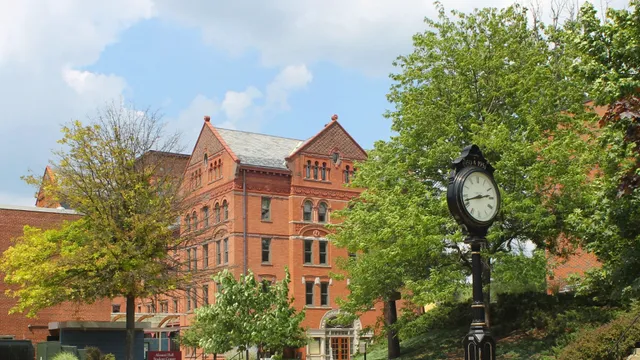 Commonwealth University - Mansfield