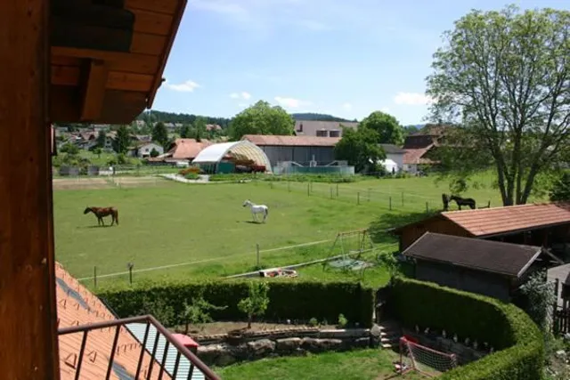 Hadassa Apartment Simcha