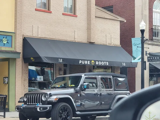 Pure Roots Boutique & Gallery