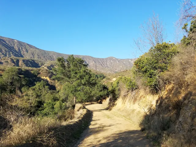Marshall Canyon Regional Park