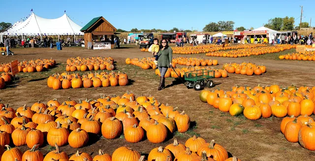 Twin Cities Harvest Festival