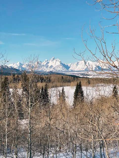 Jackson Hole Jewelry Co.