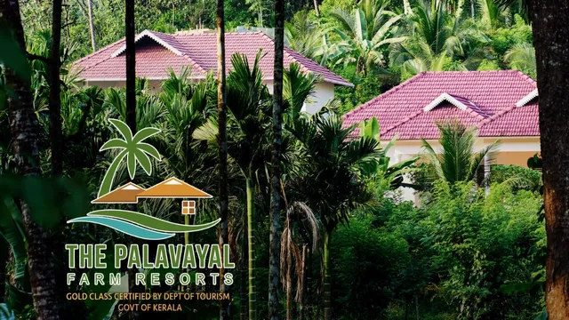 The Palavayal Farm Resorts