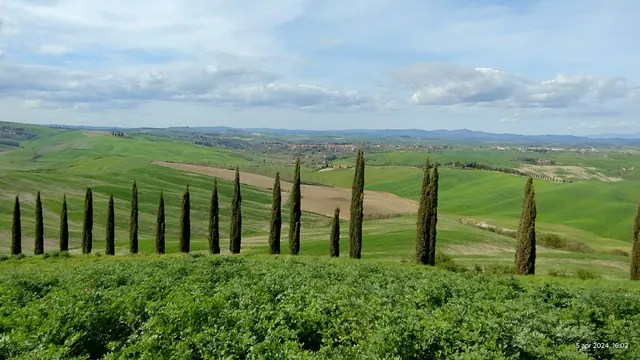 Crete Senesi vista