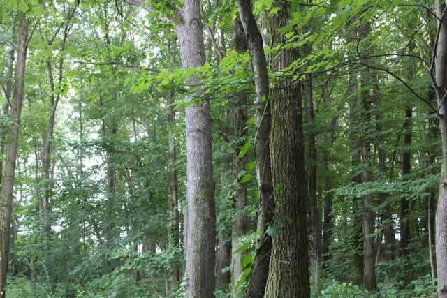 Portage Lakes State Park