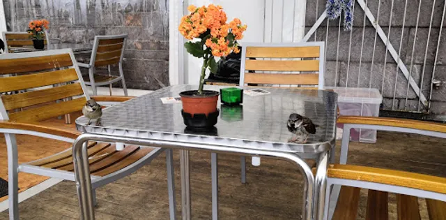 The Terrace Plymouth