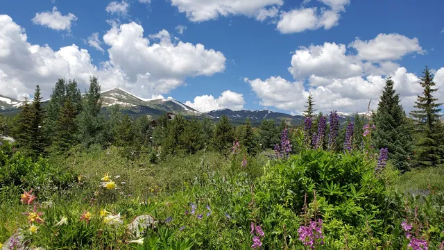 Breckenridge Alpine Garden