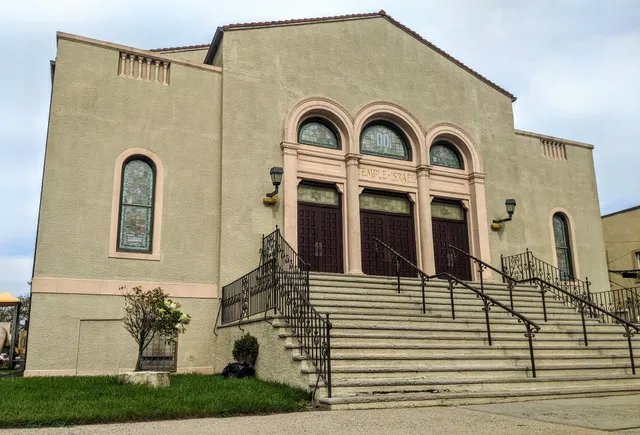 Professional Youth Theatre