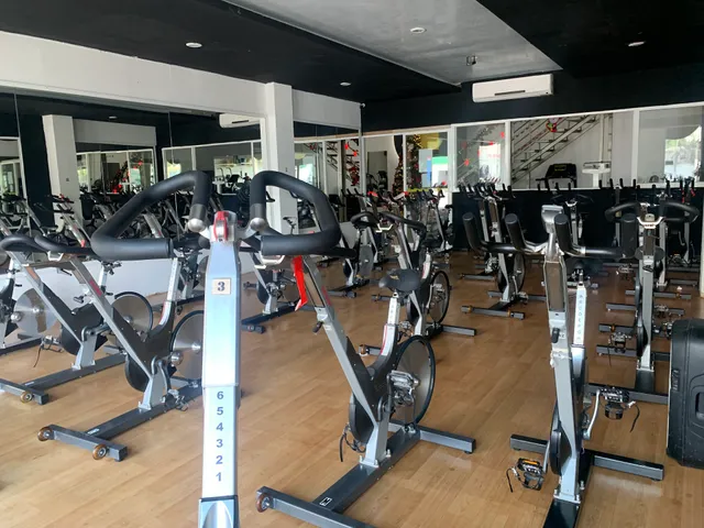 Evolve Gym Constituyentes