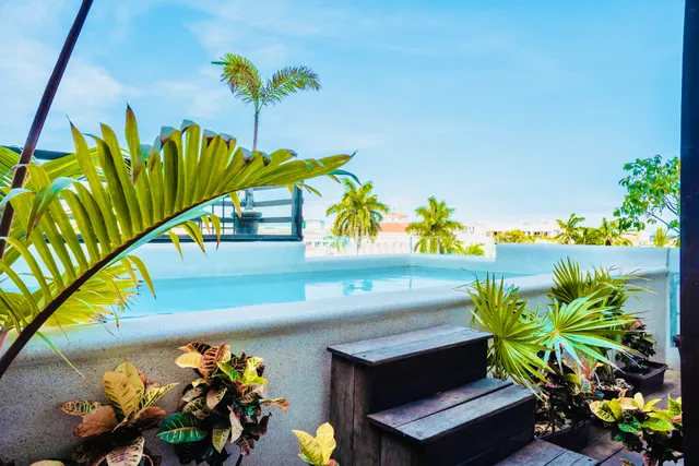 Maui Hostel Playa Del Carmen