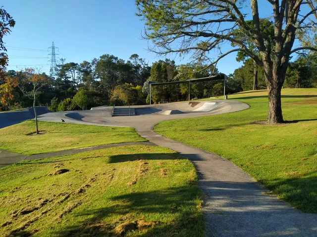 Sister Rene Shadbolt Skate Bowl