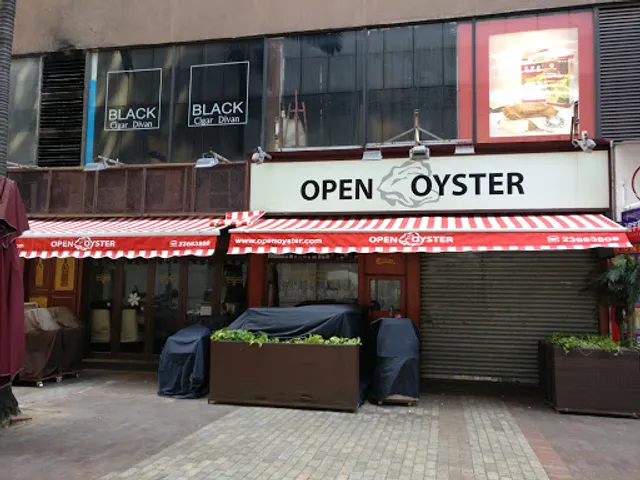Open Oyster
