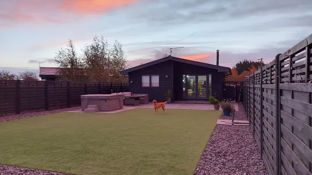 Holidays With My Dogs