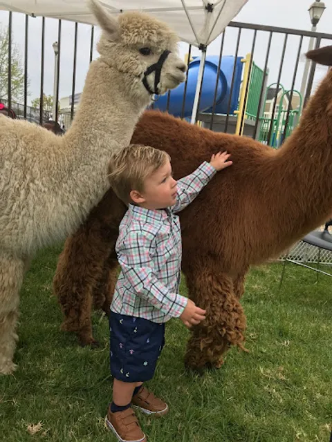 Garden of Eden Mobile Petting Zoo & Alpaca Experience