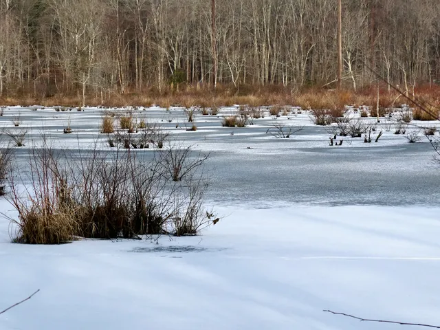 Cheltenham Wetlands Park