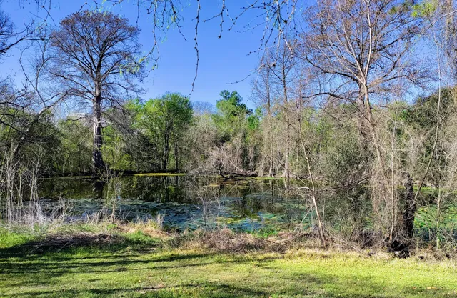 Jack White Park Trailhead