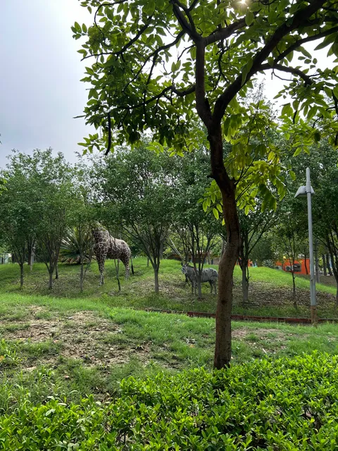 Adventure Island Limited