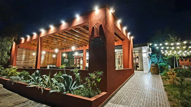 Hotel Termal, Pedro Luro