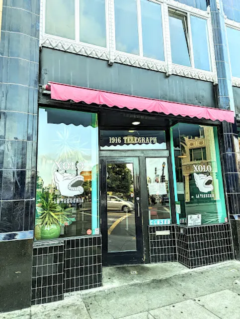 Xolo Taqueria