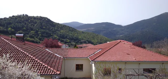 Archontikó Machalióti