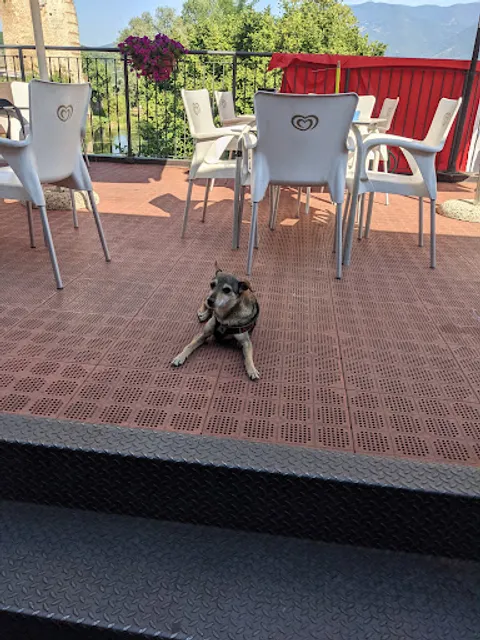 Bar E Caffè Di Gabriele Fabio