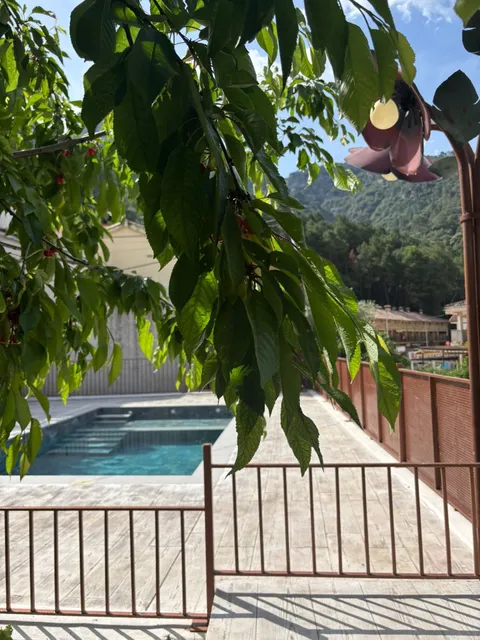 APARTAMENTOS CAZORLA NATURA