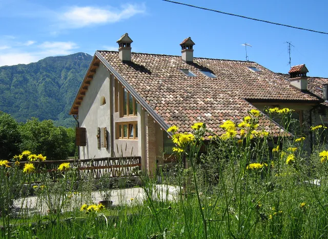 B&B La valle dell'Albero