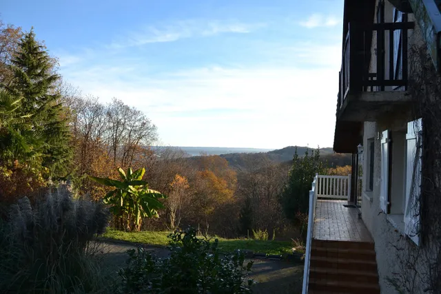 B&B - En plein cœur de la forêt