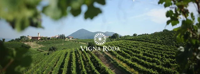 Cantina Vigna Ròda
