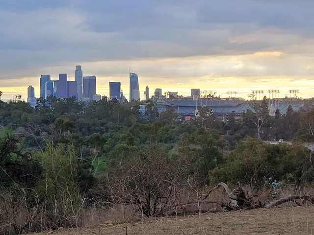 Chávez Ridge Disc Golf Course