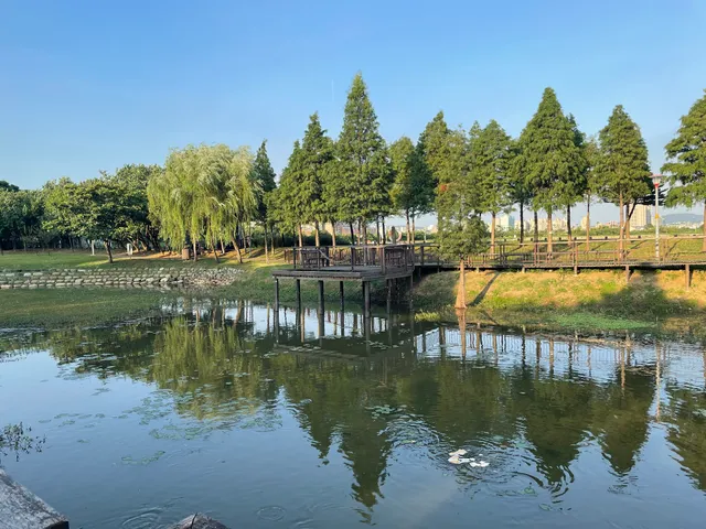 桃園1-4號生態埤塘