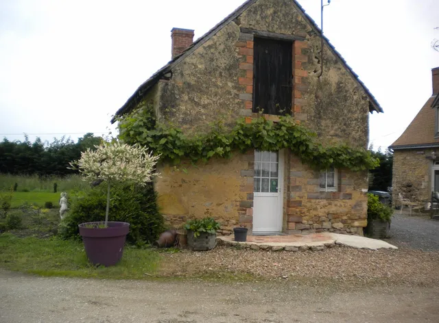 les nuits safranées